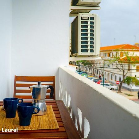 La Casa Del Druida Apartment Malaga Ngoại thất bức ảnh