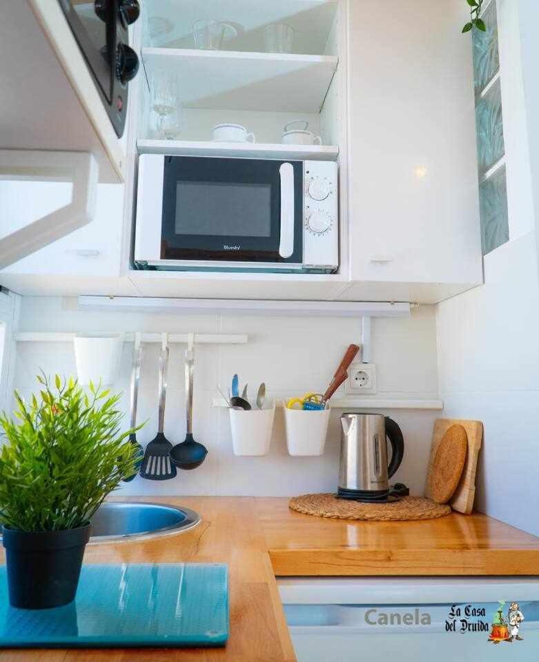 La Casa Del Druida Apartment Malaga Ngoại thất bức ảnh